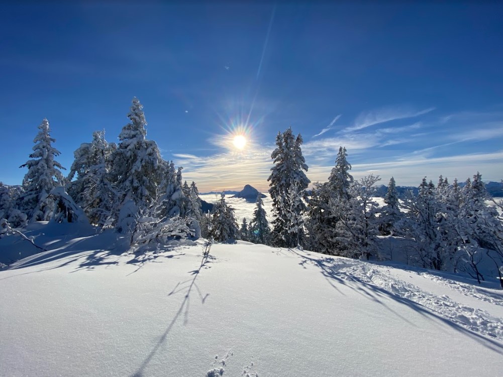 Domaine skiable Station de ski SaintPierre de Chartreuse Le Planolet